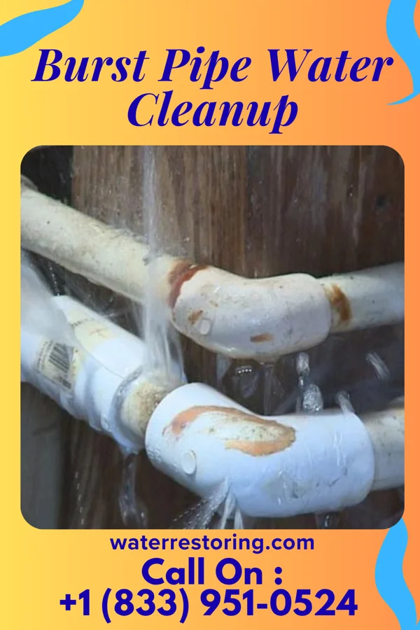 Burst Pipe Water Cleanup in New Haven, MO
