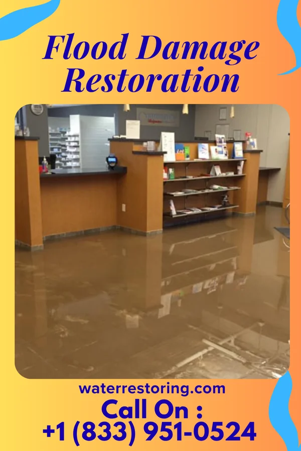 Flood Damage Restoration in New Haven, MO