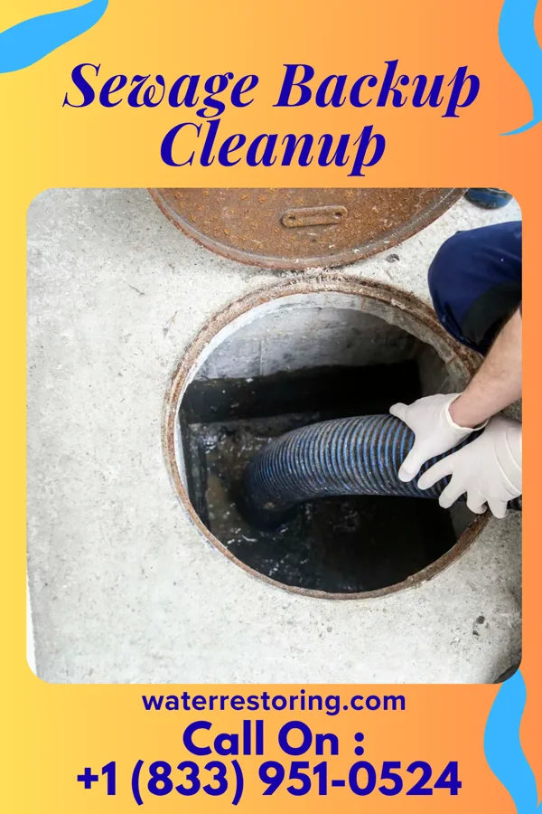 Sewage Backup Cleanup in New Haven, MO